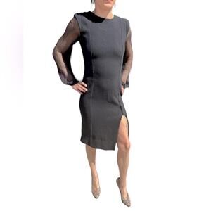 Amelia Toro Black Silk Sheer Long Sleeve Sheath Dress Size 4 Minimalist Evening